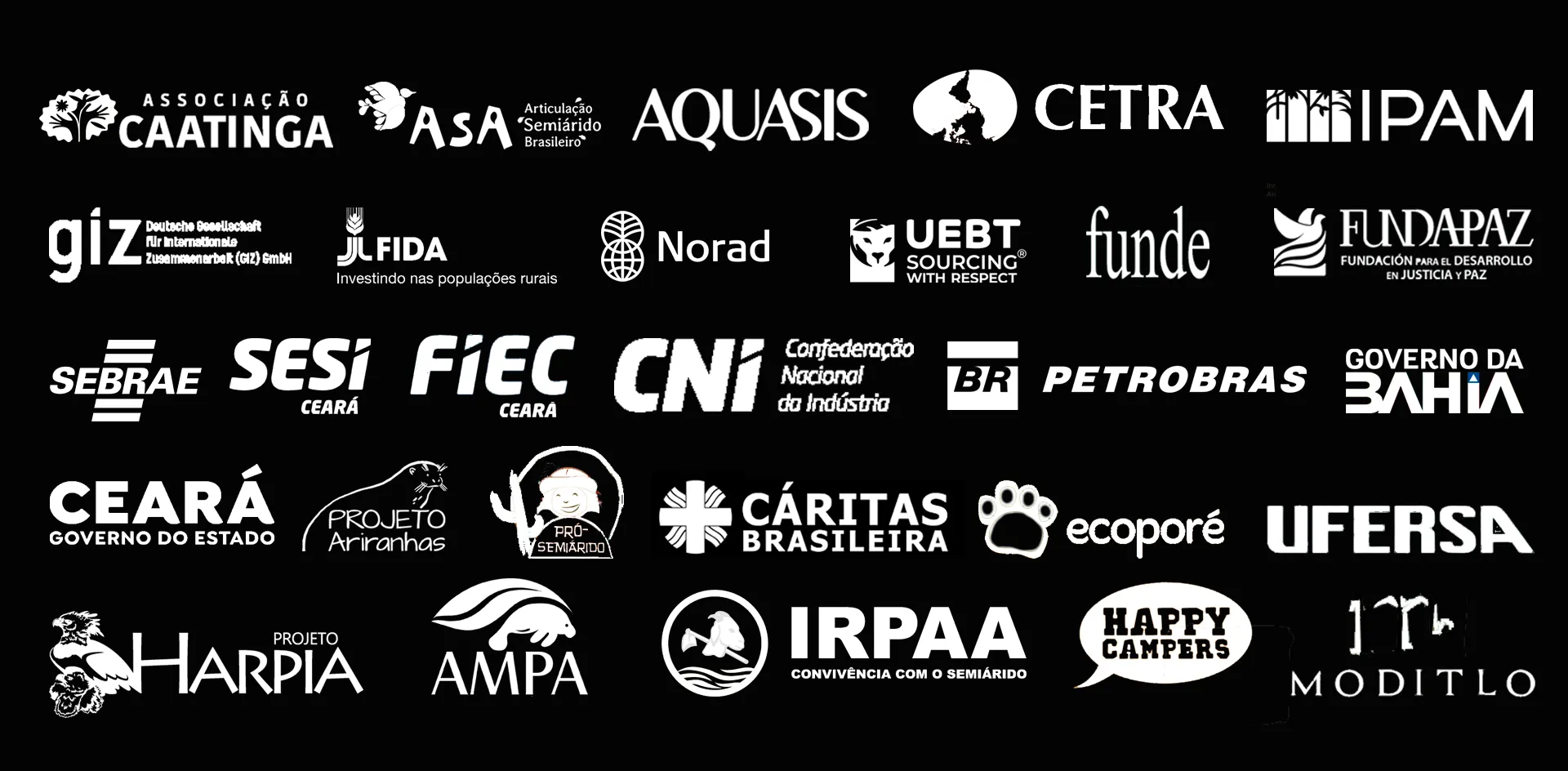 Clientes da Barong: Associação Caatinga, ASA, Aquasis, CETRA, IPAM, GIZ, FIDA, Norad, UEBT, Funde, Fundapaz, Sebrae, SESI Ceará, FIEC Ceará, CNI, Petrobras, Governo da Bahia, Governo do Estado do Ceará, Projeto Ariranhas, Pró-Semiárido, Cáritas Brasileira, Ecoporé, UFERSA, Projeto Harpia, AMPA, IRPAA, Happy Campers e Moditlo